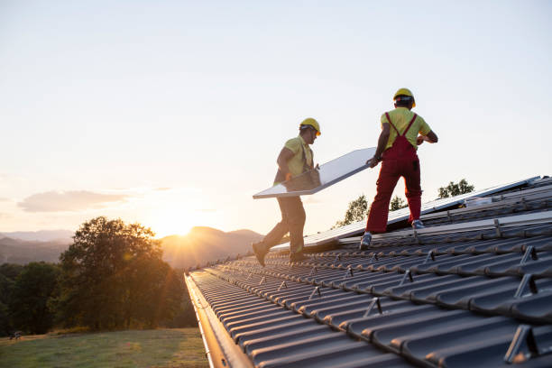 Best Roof Moss and Algae Removal  in West Reading, PA